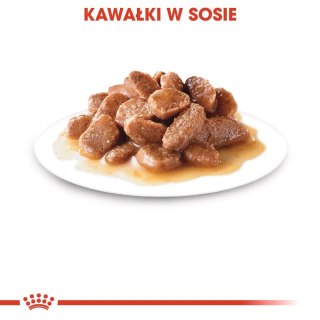ROYAL CANIN Ageing +12 Sauce 12x85g