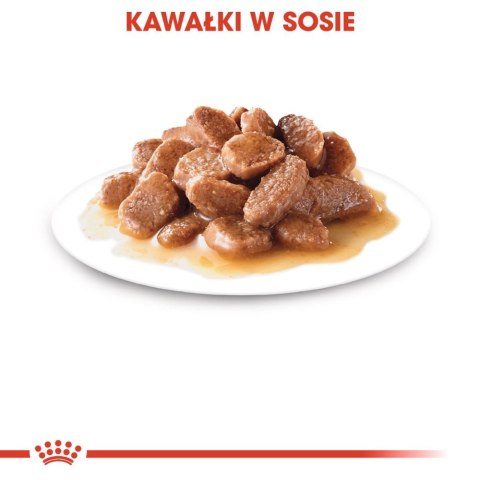 ROYAL CANIN Ageing +12 Sauce 12x85g