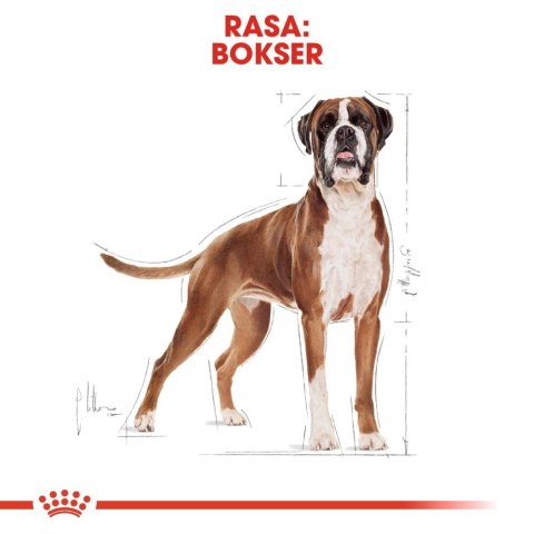 ROYAL CANIN Boxer Adult 12kg ROYAL CANIN Boxer Adult 12kg