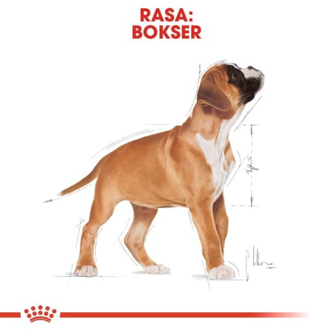 ROYAL CANIN Boxer Puppy 12kg ROYAL CANIN Boxer Puppy 12kg
