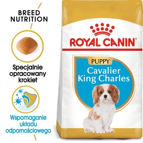 ROYAL CANIN Cavalier King Charles Spaniel Puppy 1,5kg ROYAL CANIN Cavalier King Charles Spaniel Puppy 1,5kg