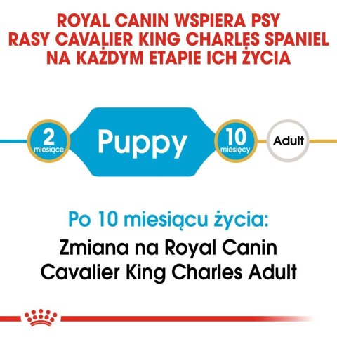 ROYAL CANIN Cavalier King Charles Spaniel Puppy 1,5kg ROYAL CANIN Cavalier King Charles Spaniel Puppy 1,5kg