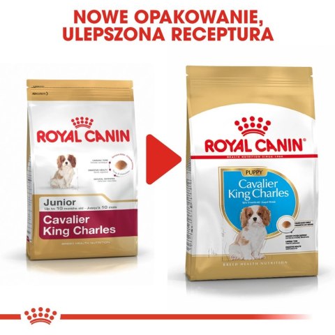 ROYAL CANIN Cavalier King Charles Spaniel Puppy 1,5kg ROYAL CANIN Cavalier King Charles Spaniel Puppy 1,5kg