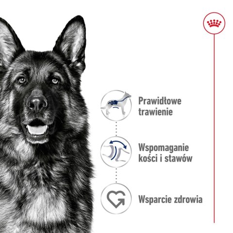 ROYAL CANIN Maxi Adult 4kg ROYAL CANIN Maxi Adult 4kg