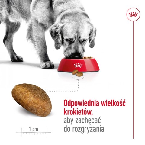 ROYAL CANIN Maxi Adult 4kg ROYAL CANIN Maxi Adult 4kg
