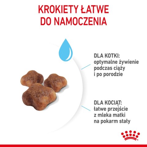 ROYAL CANIN Mother & Babycat 2kg ROYAL CANIN Mother & Babycat 2kg