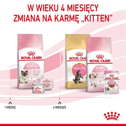 ROYAL CANIN Mother & Babycat 2kg ROYAL CANIN Mother & Babycat 2kg