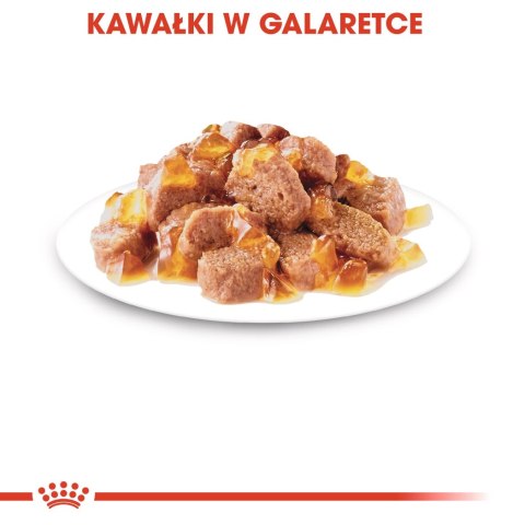 ROYAL CANIN Sterilised W Galaretce 12x85g ROYAL CANIN Sterilised W Galaretce 12x85g