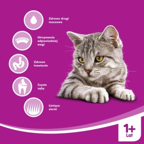 WHISKAS Karma Sucha Dla Kota Po Sterylizacji 1+ Sterile Z Kurczakiem 14kg WHISKAS Karma Sucha Dla Kota Po Sterylizacji 1+ Sterile Z Kurczakiem 14kg