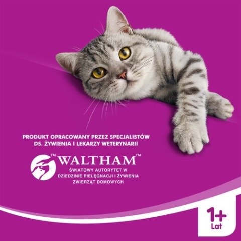 WHISKAS Karma Sucha Dla Kota Po Sterylizacji 1+ Sterile Z Kurczakiem 14kg WHISKAS Karma Sucha Dla Kota Po Sterylizacji 1+ Sterile Z Kurczakiem 14kg