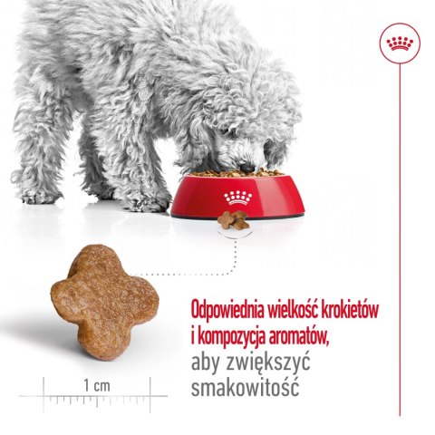 ROYAL CANIN Mini Adult 8+ 2kg ROYAL CANIN Mini Adult 8+ 2kg