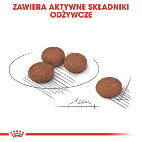ROYAL CANIN Mini Digestive Care 1kg ROYAL CANIN Mini Digestive Care 1kg