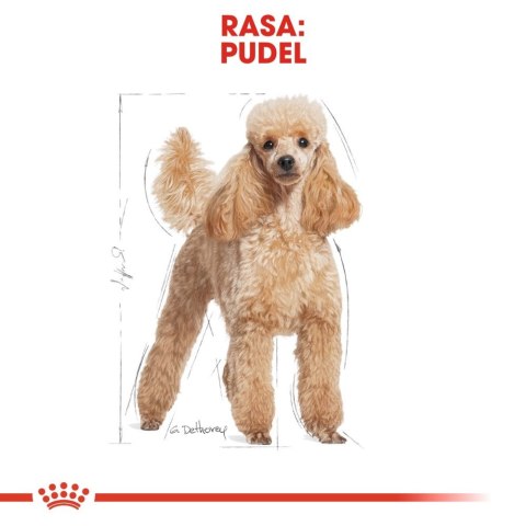 ROYAL CANIN Poodle Adult 1,5kg ROYAL CANIN Poodle Adult 1,5kg