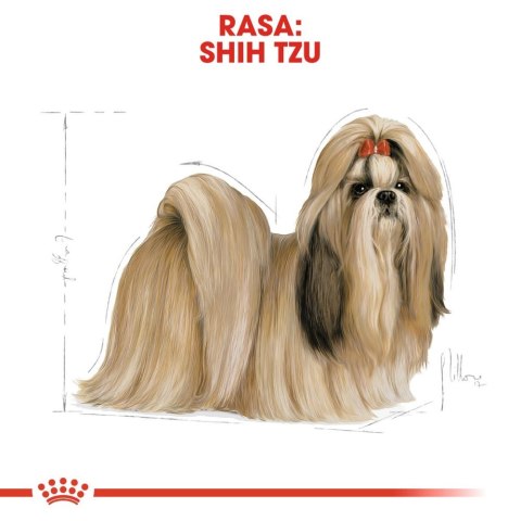 ROYAL CANIN Shih Tzu Adult 1,5kg ROYAL CANIN Shih Tzu Adult 1,5kg