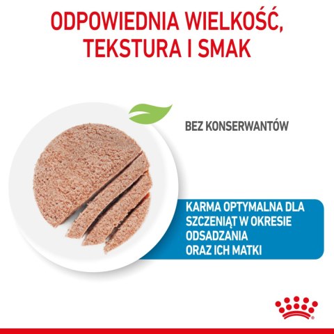 ROYAL CANIN Starter Mousse Mother & Babydog 195g ROYAL CANIN Starter Mousse Mother & Babydog 195g