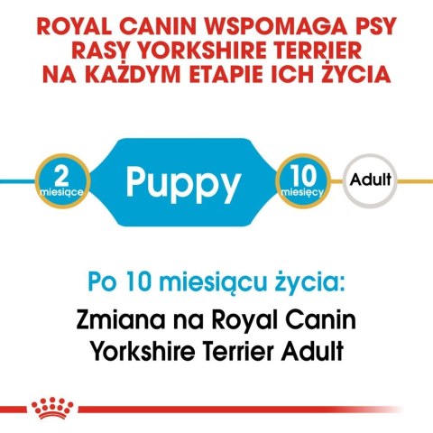 ROYAL CANIN Yorkshire Terrier Puppy 500g ROYAL CANIN Yorkshire Terrier Puppy 500g