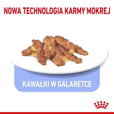 ROYAL CANIN Indoor Sterilised W Galaretce 12x85g ROYAL CANIN Indoor Sterilised W Galaretce 12x85g