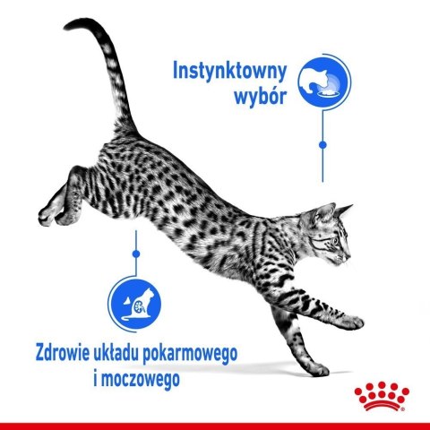 ROYAL CANIN Indoor Sterilised W Galaretce 12x85g ROYAL CANIN Indoor Sterilised W Galaretce 12x85g