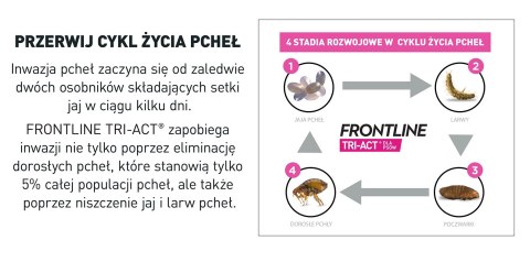 FRONTLINE Tri-Act Dla Psów 3x0,5ml FRONTLINE Tri-Act Dla Psów 3x0,5ml