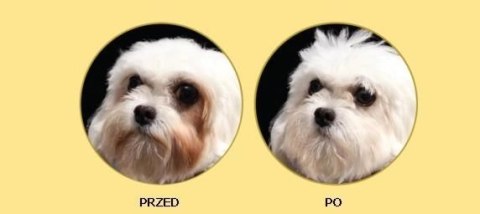 Nature's Protection Superior Care White Dogs Adult Small Breed With Lamb 1,5kg Nature's Protection Superior Care White Dogs Adult Small Breed With Lamb 1,5kg