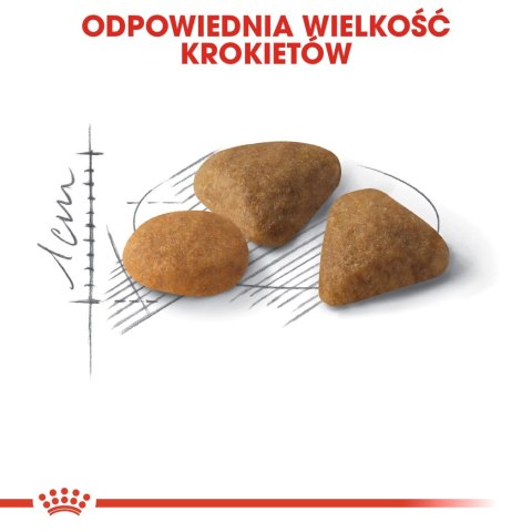 ROYAL CANIN Savour Exigent 4kg ROYAL CANIN Savour Exigent 4kg