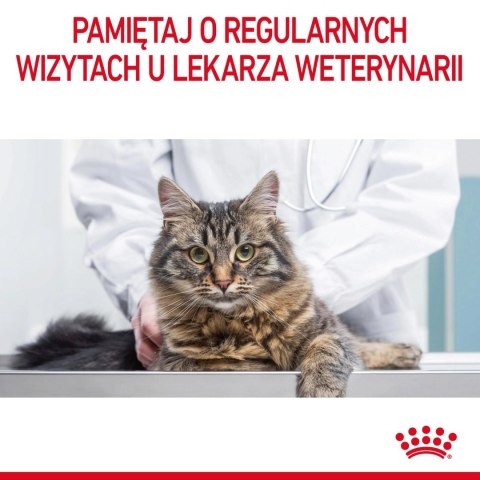 ROYAL CANIN Urinary Care 400g ROYAL CANIN Urinary Care 400g