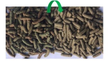 Versele-Laga Cuni Adult Complete Pokarm Dla Królików 500g Versele-Laga Cuni Adult Complete Pokarm Dla Królików 500g