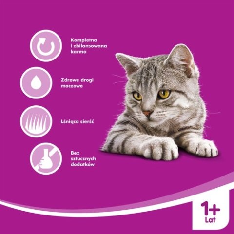 WHISKAS Mokra Karma Dla Kota 1+ Z Tuńczykiem W Galaretce 400g WHISKAS Mokra Karma Dla Kota 1+ Z Tuńczykiem W Galaretce 400g