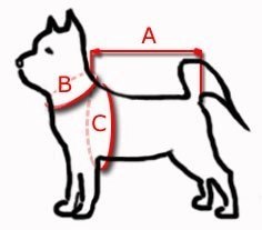 KERBL Pas Bezpieczeństwa M Dla Psa 50-70cm
