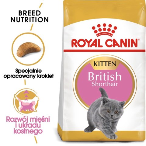 ROYAL CANIN British Shorthair Kitten 2kg ROYAL CANIN British Shorthair Kitten 2kg