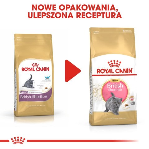 ROYAL CANIN British Shorthair Kitten 2kg ROYAL CANIN British Shorthair Kitten 2kg