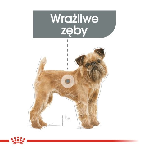 ROYAL CANIN CCN Mini Dental Care 8kg ROYAL CANIN CCN Mini Dental Care 8kg