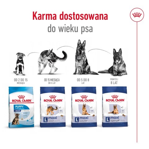 ROYAL CANIN Maxi Adult 15kg ROYAL CANIN Maxi Adult 15kg