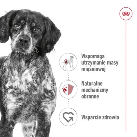 ROYAL CANIN Medium Adult 15kg ROYAL CANIN Medium Adult 15kg