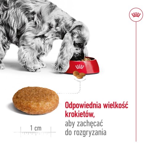 ROYAL CANIN Medium Adult 15kg ROYAL CANIN Medium Adult 15kg