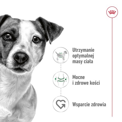 ROYAL CANIN Mini Adult 8kg ROYAL CANIN Mini Adult 8kg