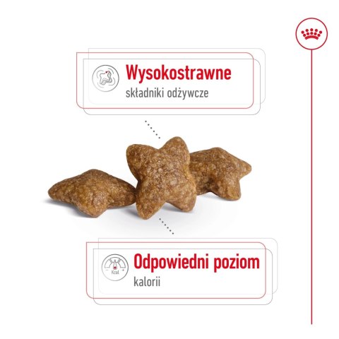 ROYAL CANIN Mini Adult 8kg ROYAL CANIN Mini Adult 8kg