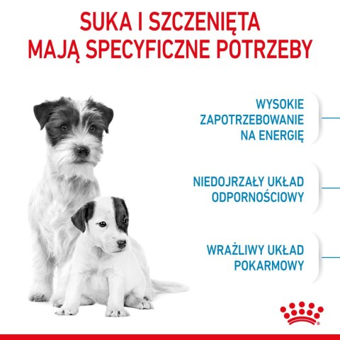 ROYAL CANIN Mini Starter 1kg ROYAL CANIN Mini Starter 1kg