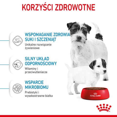 ROYAL CANIN Mini Starter 1kg ROYAL CANIN Mini Starter 1kg