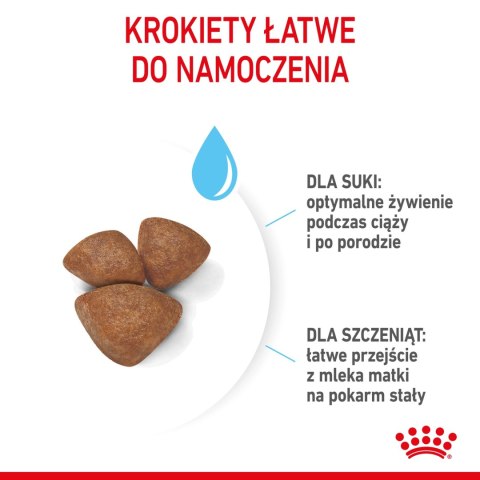 ROYAL CANIN Mini Starter 1kg ROYAL CANIN Mini Starter 1kg