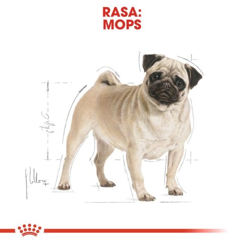 ROYAL CANIN Pug Adult 1,5kg ROYAL CANIN Pug Adult 1,5kg