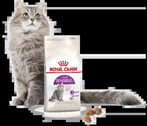 ROYAL CANIN Sensible 33 4kg ROYAL CANIN Sensible 33 4kg