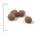 ROYAL CANIN Sterilised 37 4kg ROYAL CANIN Sterilised 37 4kg