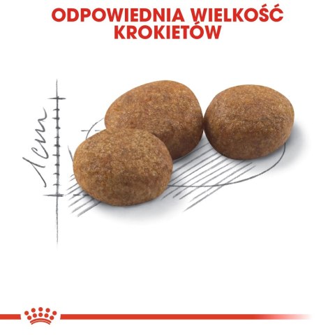 ROYAL CANIN Sterilised 37 4kg ROYAL CANIN Sterilised 37 4kg