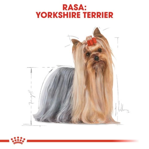ROYAL CANIN Yorkshire Terrier Adult 500g ROYAL CANIN Yorkshire Terrier Adult 500g