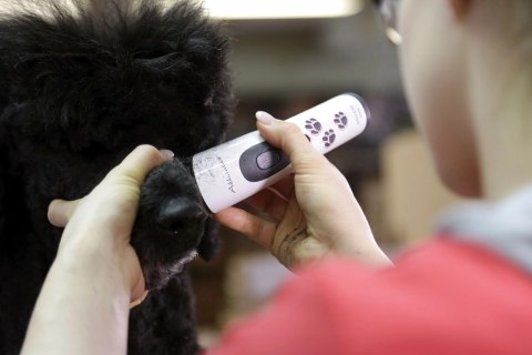 Aesculap Maszynka Do Strzyżenia Akkurata Akumulatorowa Biała Aesculap Maszynka Do Strzyżenia Akkurata Akumulatorowa Biała