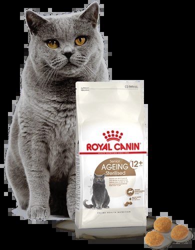 ROYAL CANIN Ageing Sterilised +12 2kg ROYAL CANIN Ageing Sterilised +12 2kg