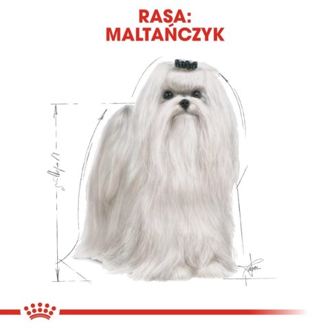 ROYAL CANIN Maltese Adult 1,5kg ROYAL CANIN Maltese Adult 1,5kg
