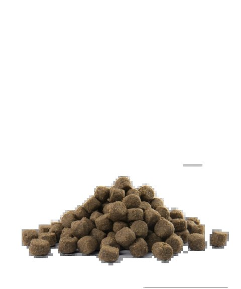 Versele-Laga Opti Life Prime Adult Salmon Karma Bezzbożowa Dla Dorosłych Psów Z Łososiem 12,5kg Versele-Laga Opti Life Prime Adult Salmon Karma Bezzbożowa Dla Dorosłych Psów Z Łososiem 12,5kg