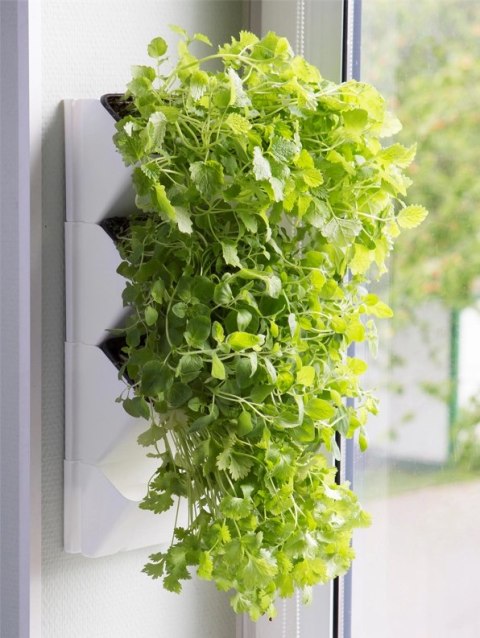 AQUAEL Versa Garden Herbs AQUAEL Versa Garden Herbs